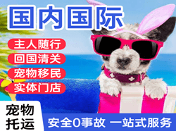 烟台机场快运国际宠物托运 【国